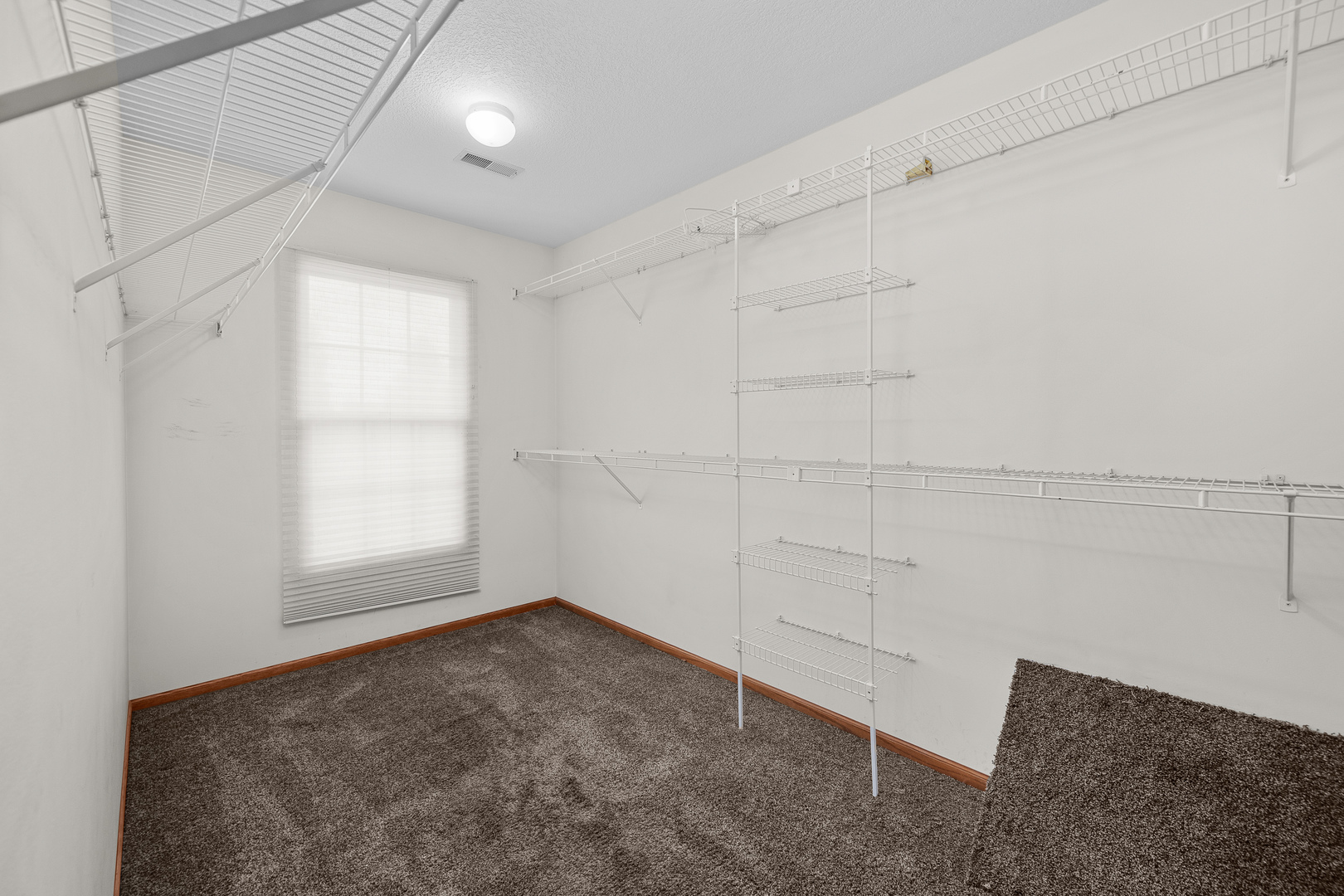 4816 Norfolk Place Property Photo 41