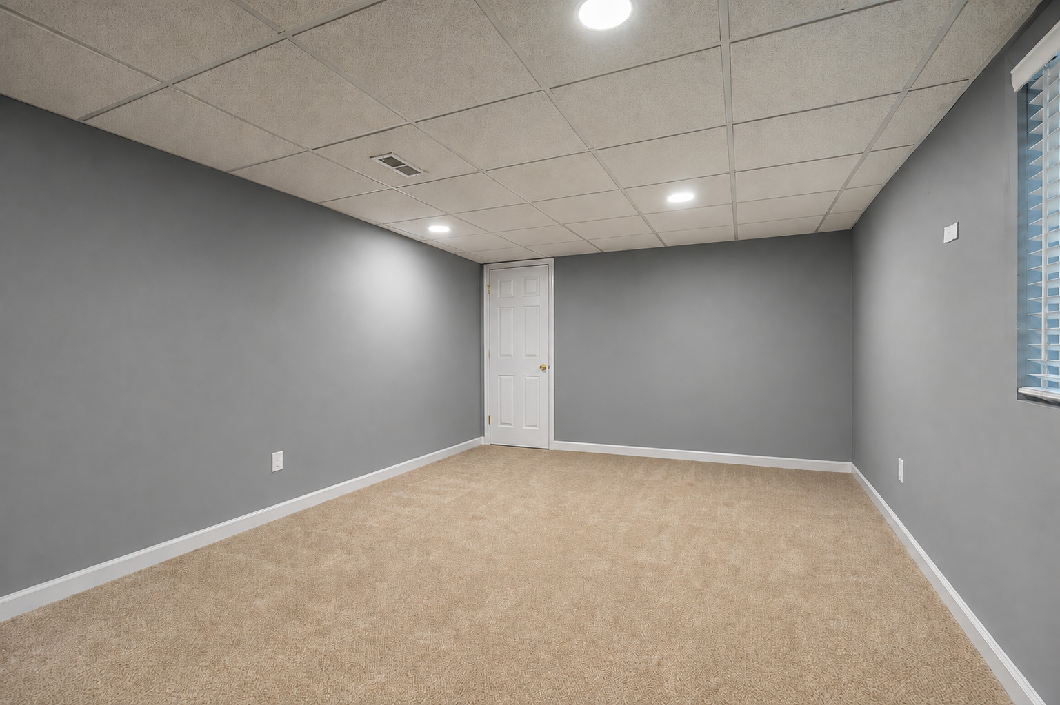 1739 Hickory Park Lane Property Photo 19