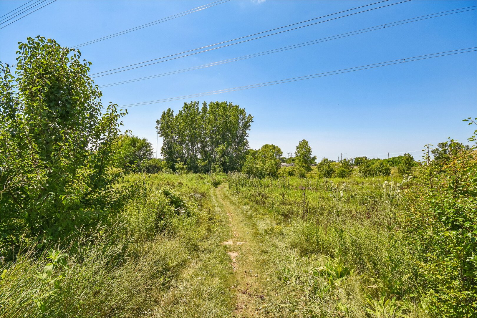 14854 S Carlton Lane Property Photo 44