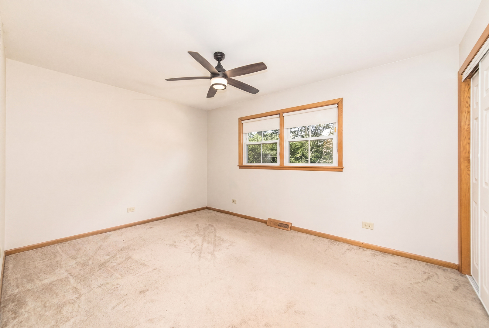 250 Shannon Court Property Photo 17