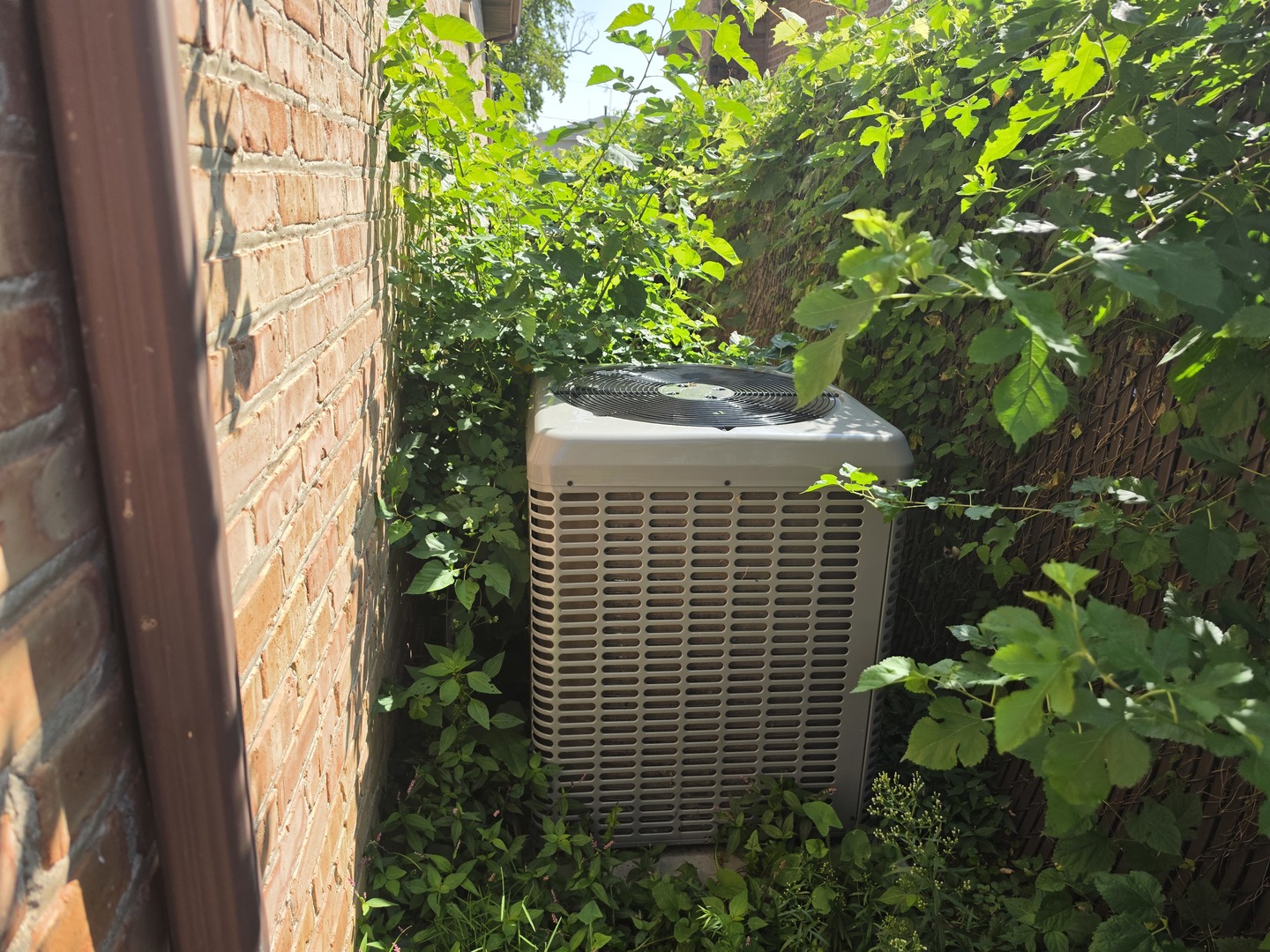 14104 S Bensley Avenue Property Photo 7