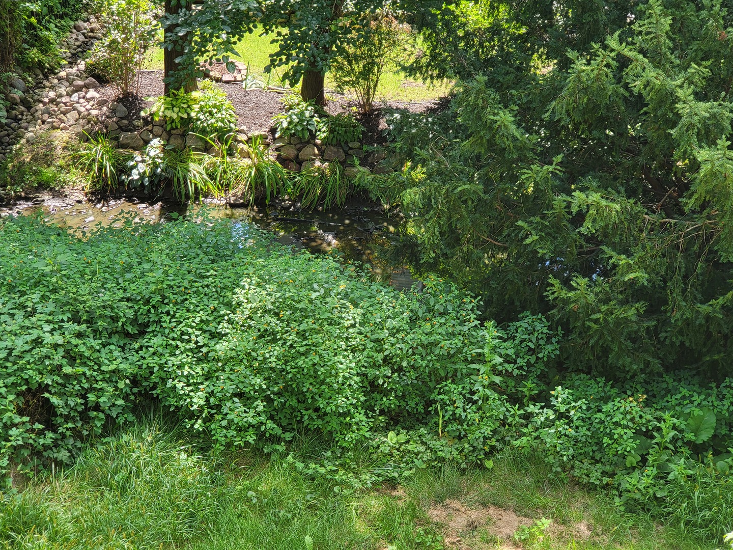 21317 W Shady Lane Property Photo 5