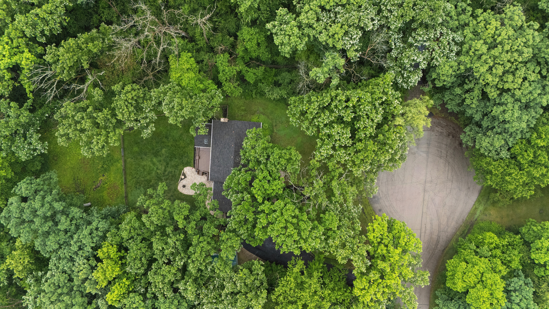 3202 Springbrook Road Property Photo 37