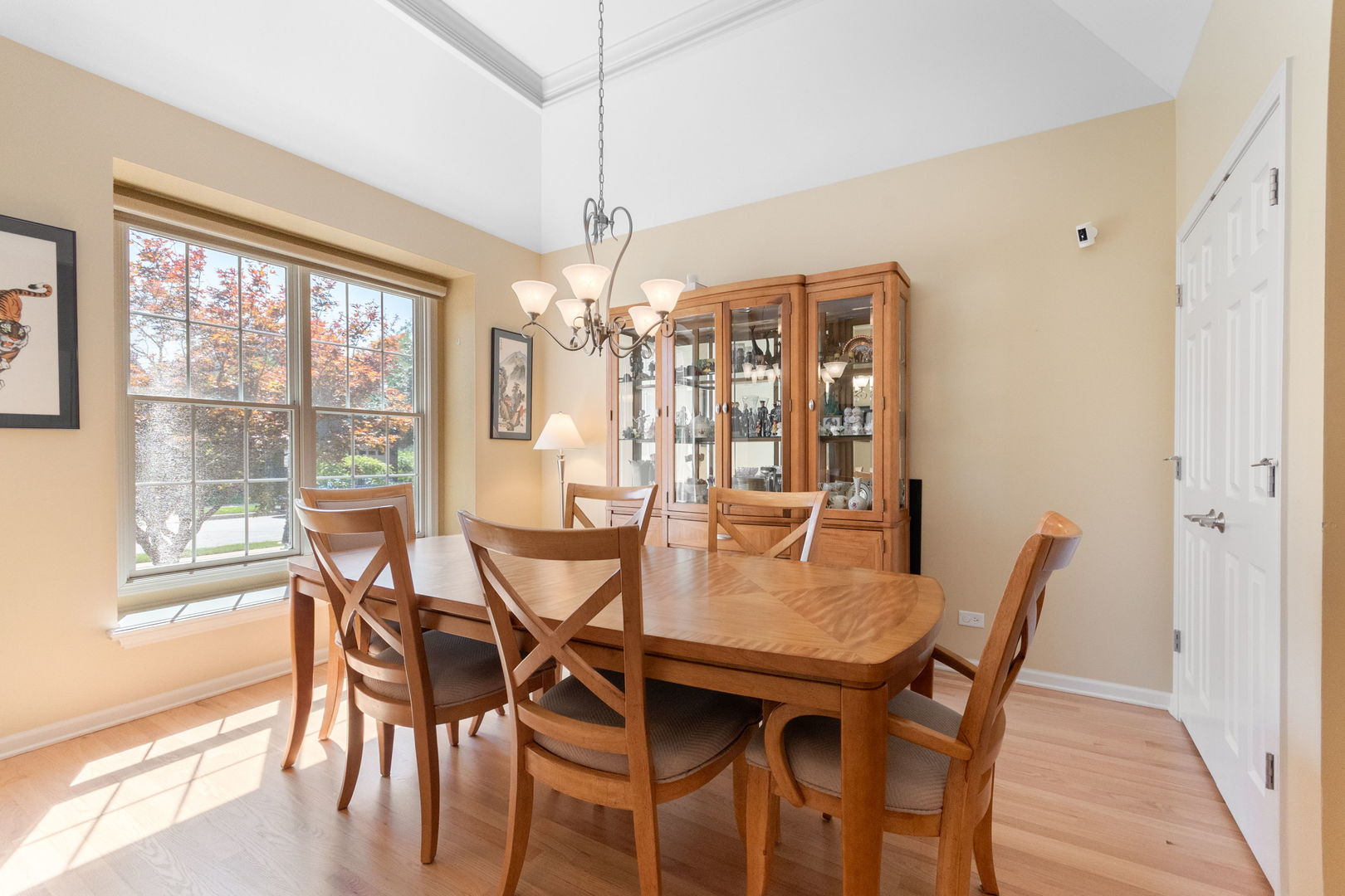 29w511 Cerny Circle Property Photo 3