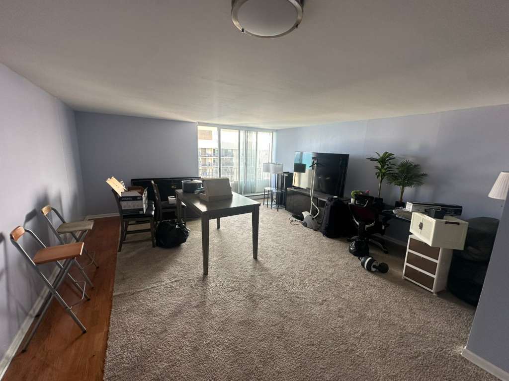 6033 N Sheridan Road 39e Property Photo 4
