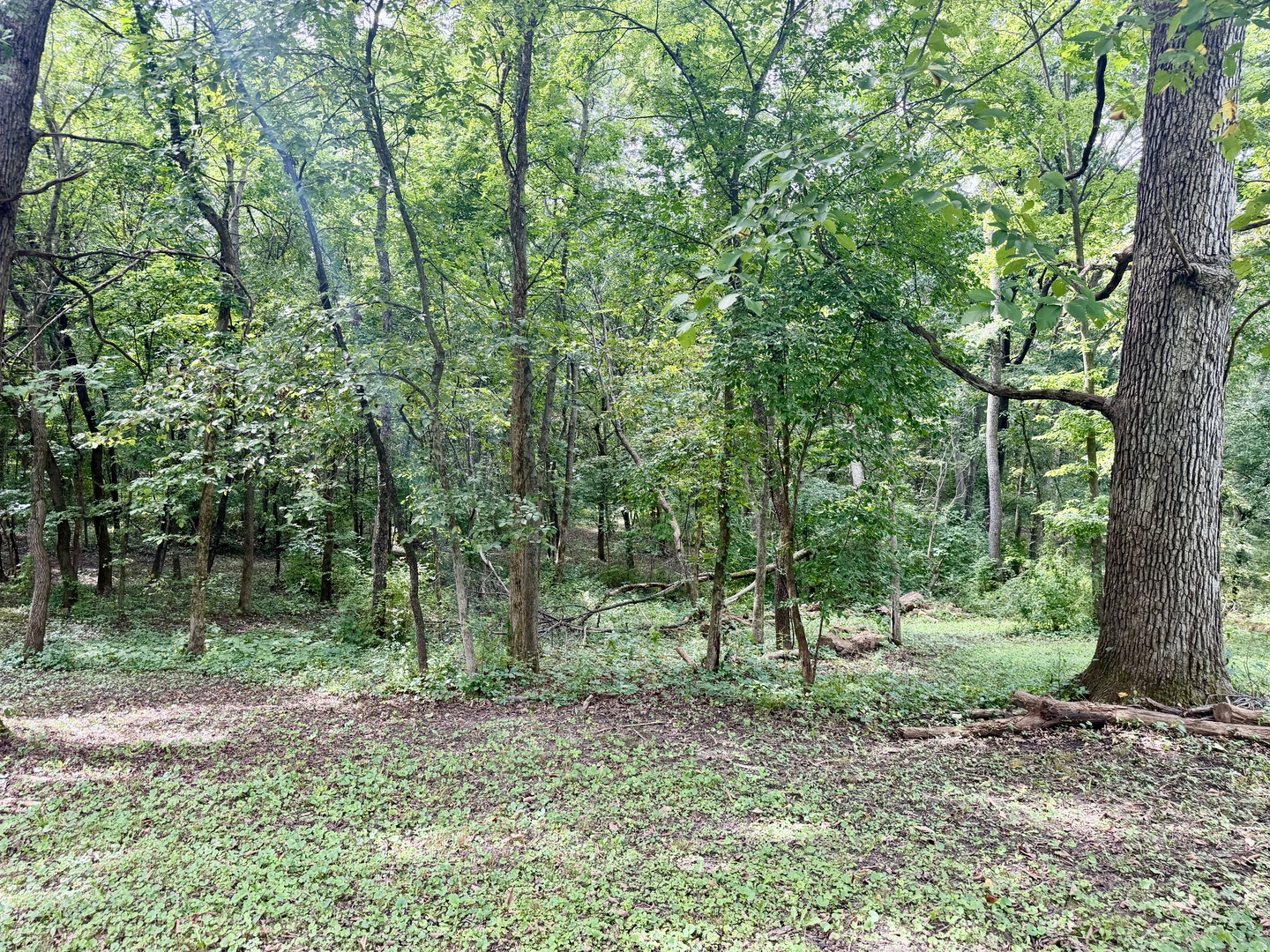 2045 Il Route 2 Property Photo 55