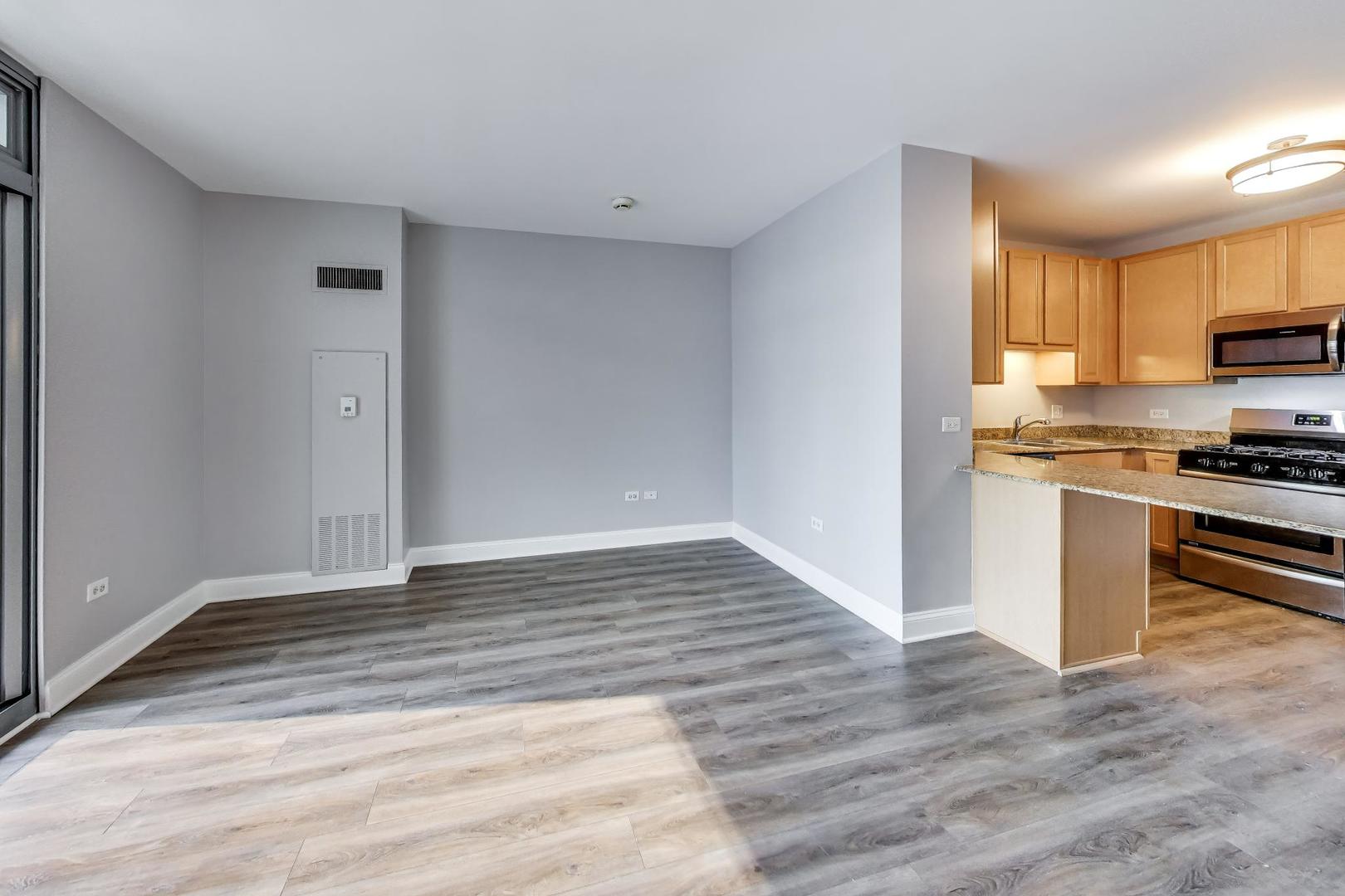 125 S Jefferson Street 1005 Property Photo 6