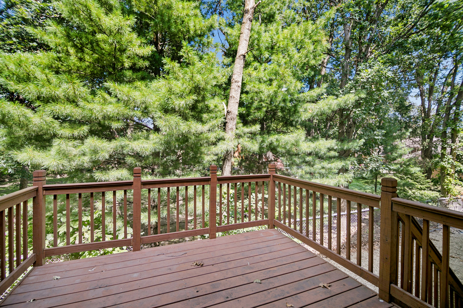 8528 Thomas Charles Lane 8528 Property Photo 13
