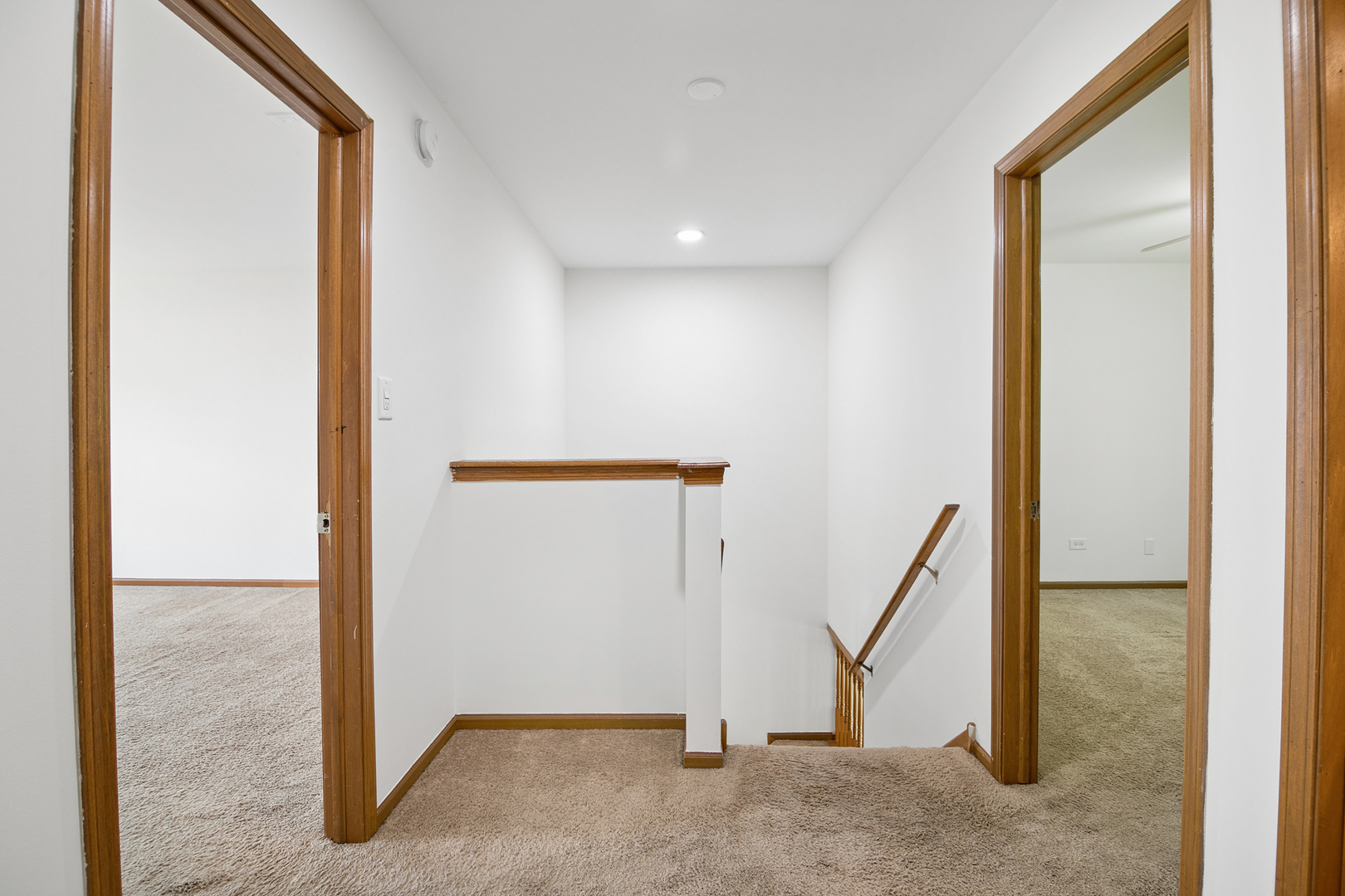 8528 Thomas Charles Lane 8528 Property Photo 17