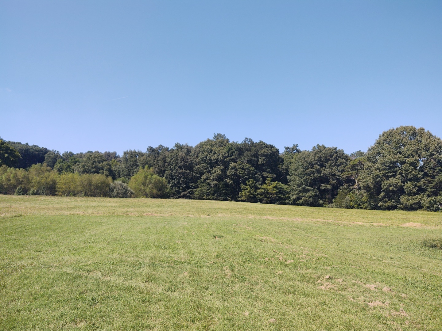 7020 Buncombe Road Property Photo 8