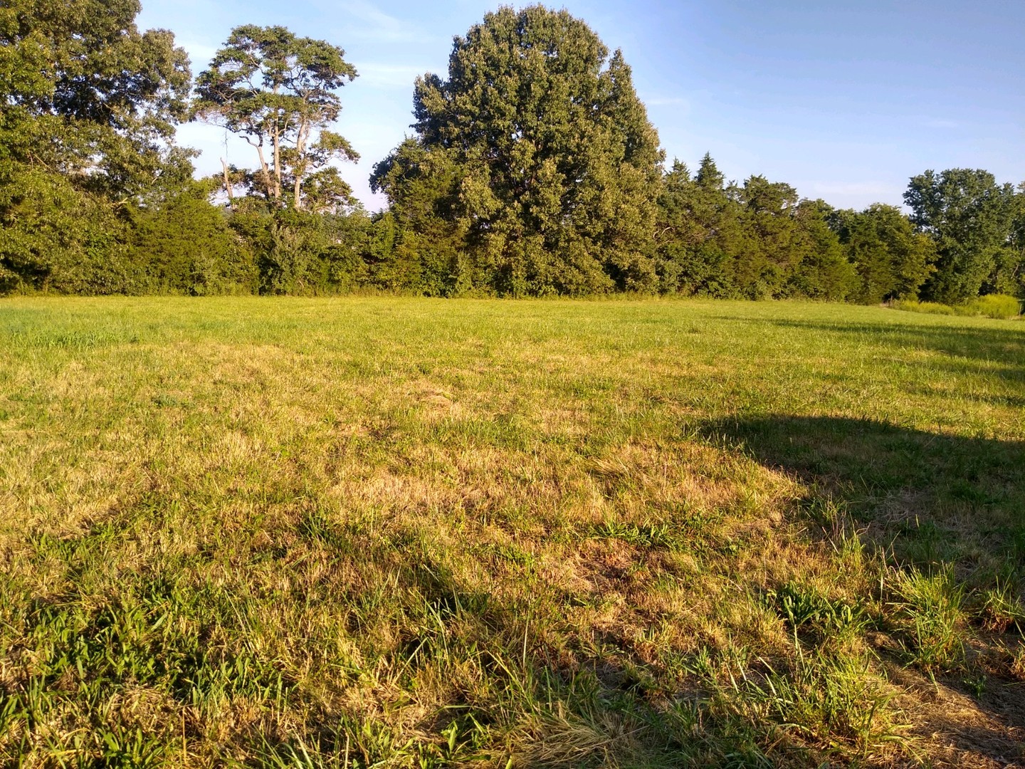 7020 Buncombe Road Property Photo 10