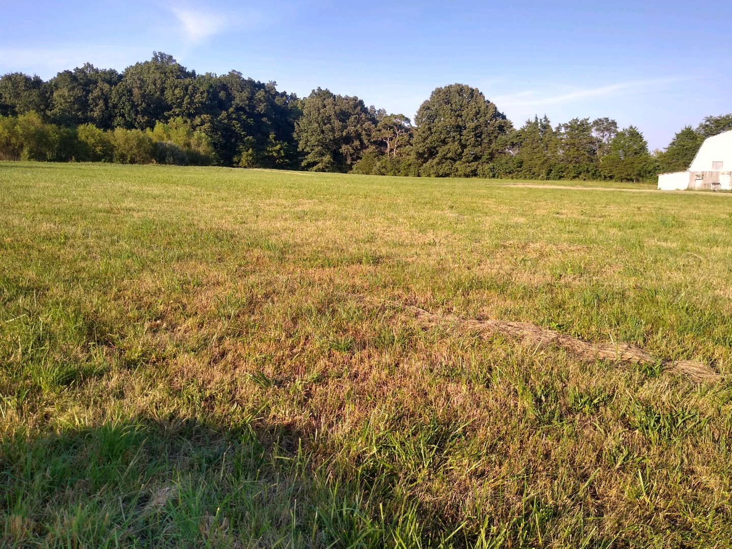 7020 Buncombe Road Property Photo 11