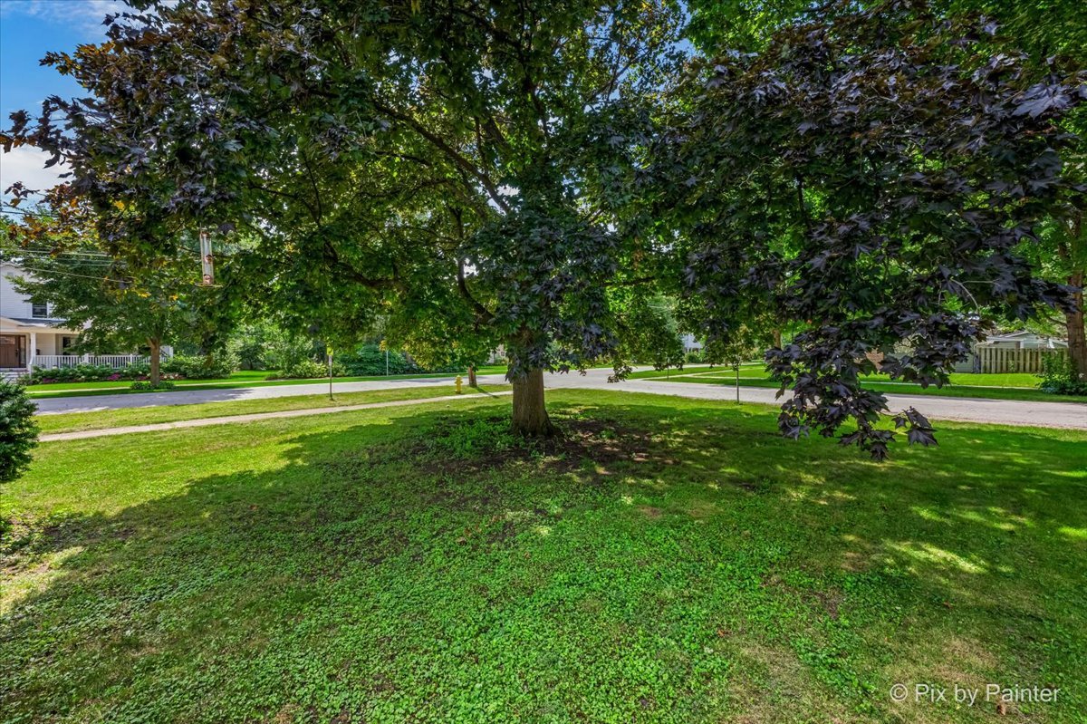 805 Dawes Avenue Property Photo 26
