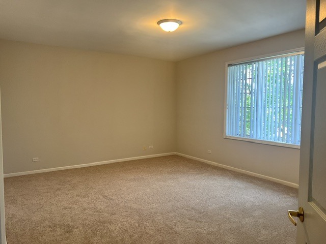 541 N Hough Street 305 Property Photo 10