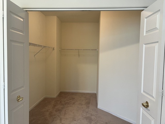 541 N Hough Street 305 Property Photo 12