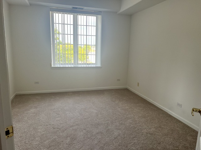 541 N Hough Street 305 Property Photo 15
