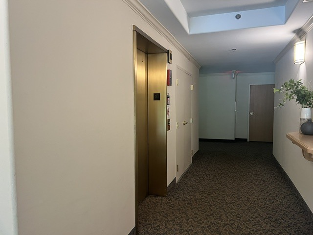 541 N Hough Street 305 Property Photo 17