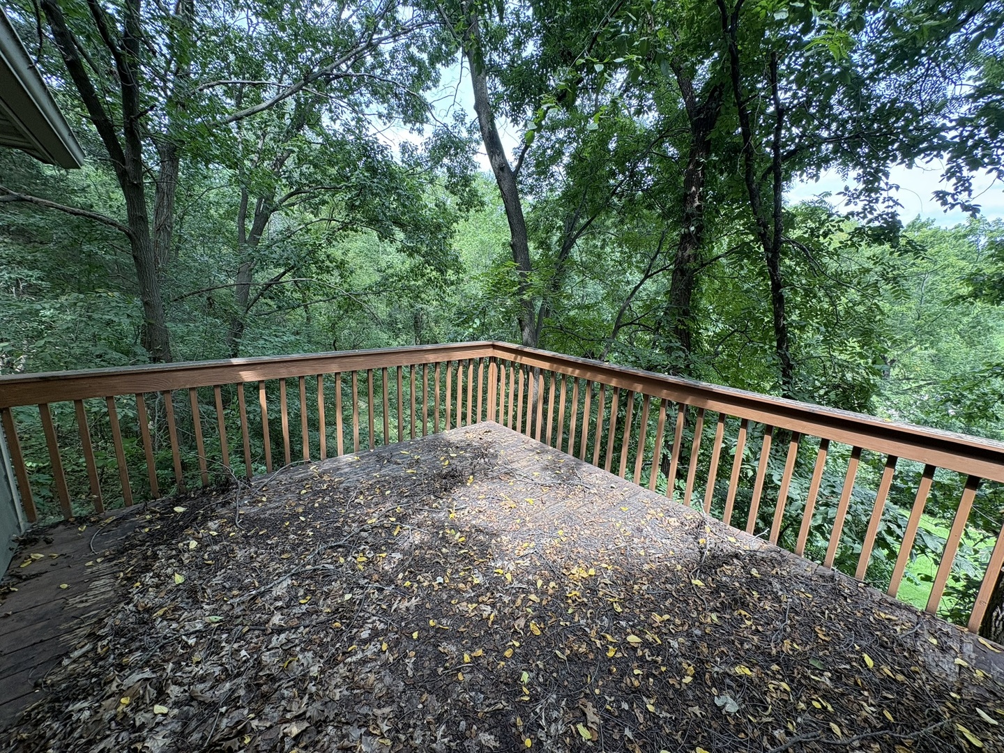 5 Sundance Trail Property Photo 15