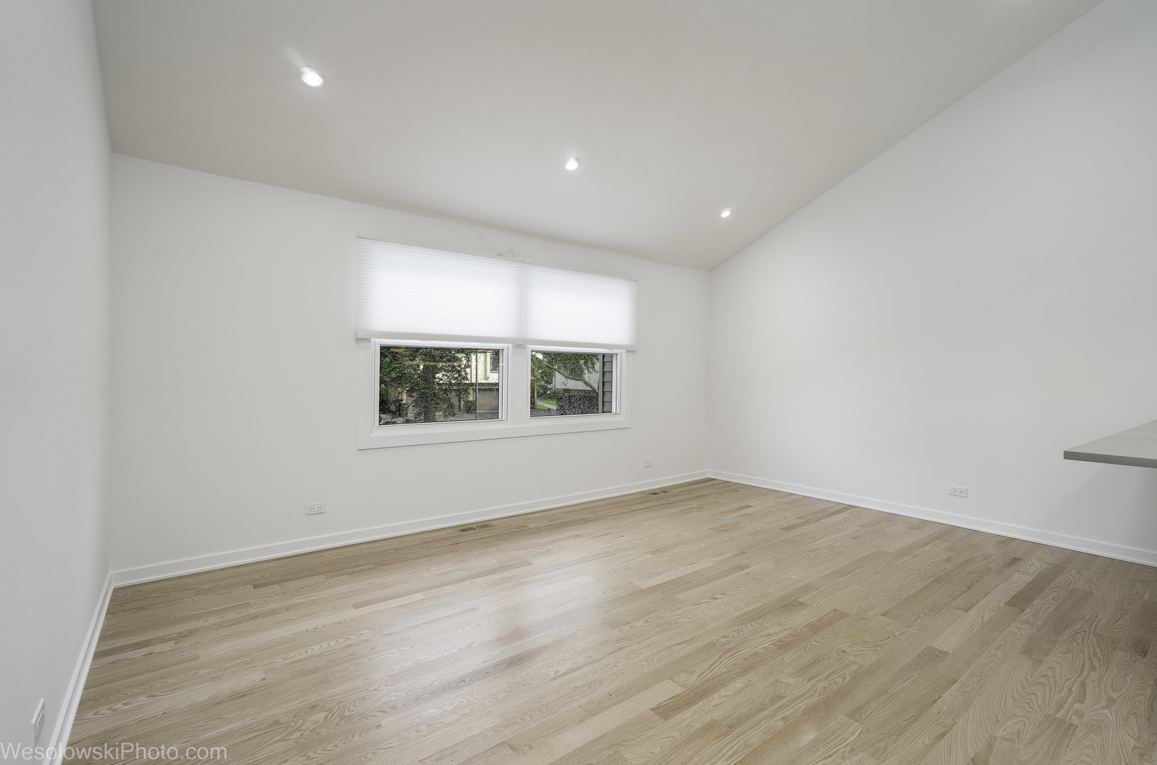 363 Juniper Tree Court Property Photo 10