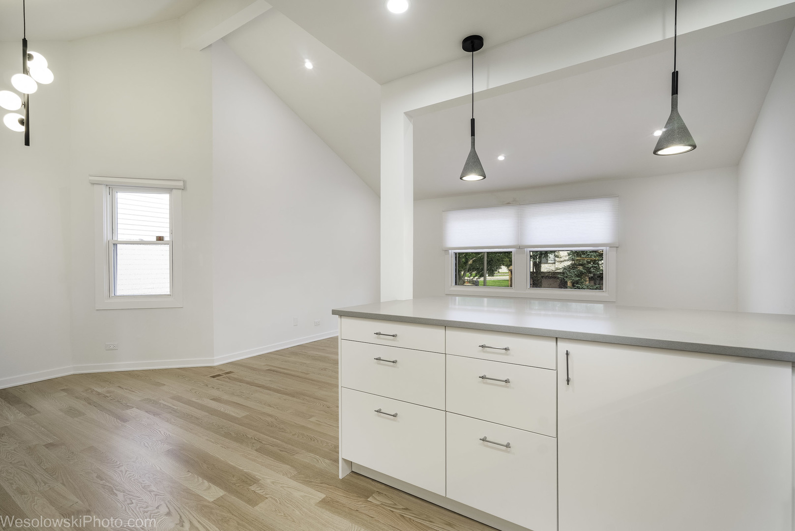 363 Juniper Tree Court Property Photo 16
