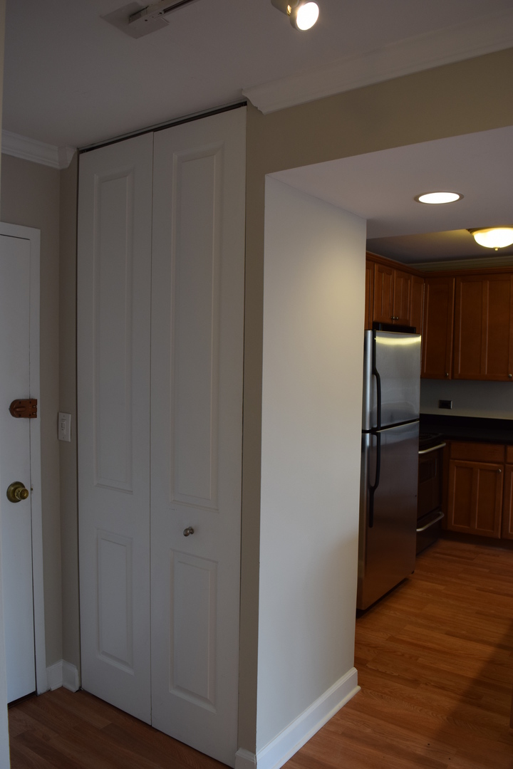 1360 N Sandburg Terrace 410 Property Photo 13