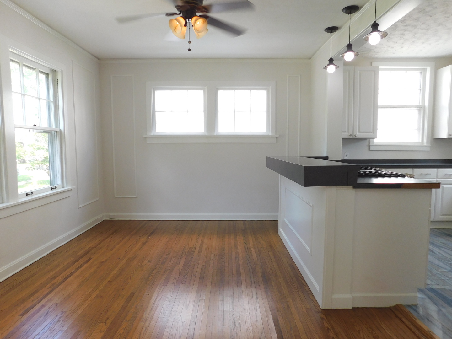 1409 Ottawa Avenue Property Photo 11