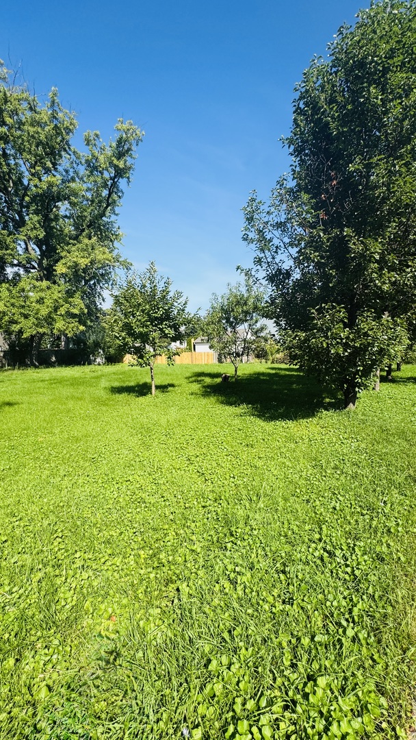290 Woodbridge Road Property Photo 4