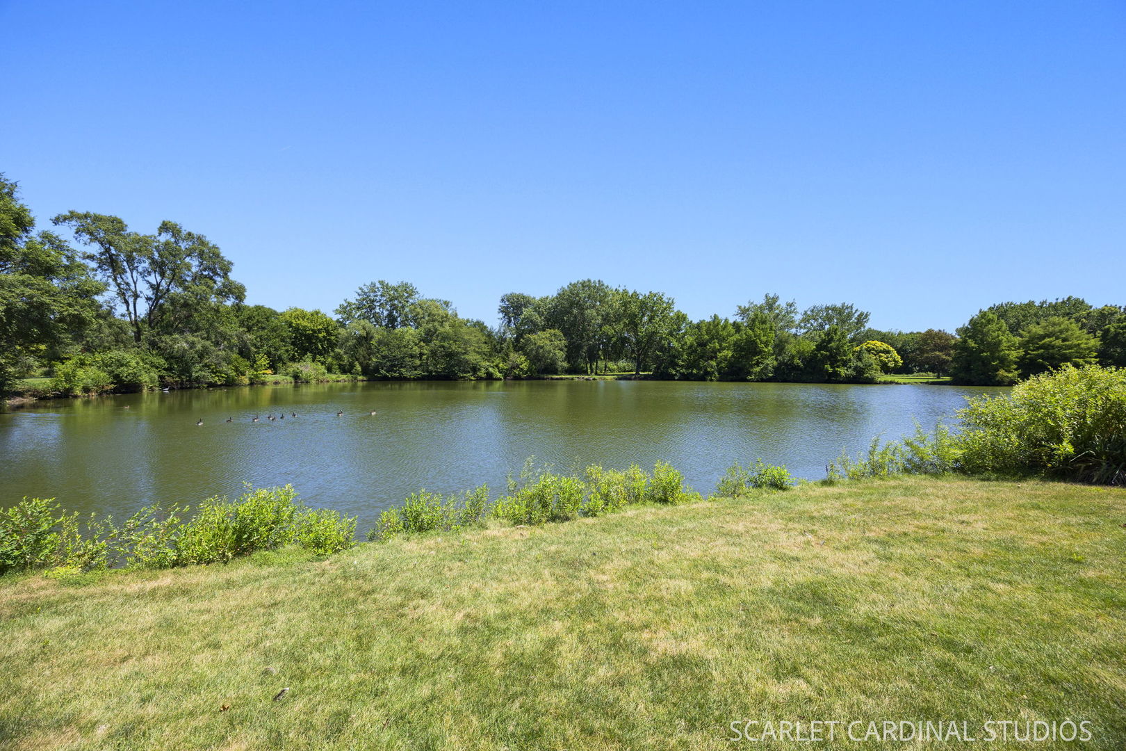 36 Crofton Court Property Photo 4
