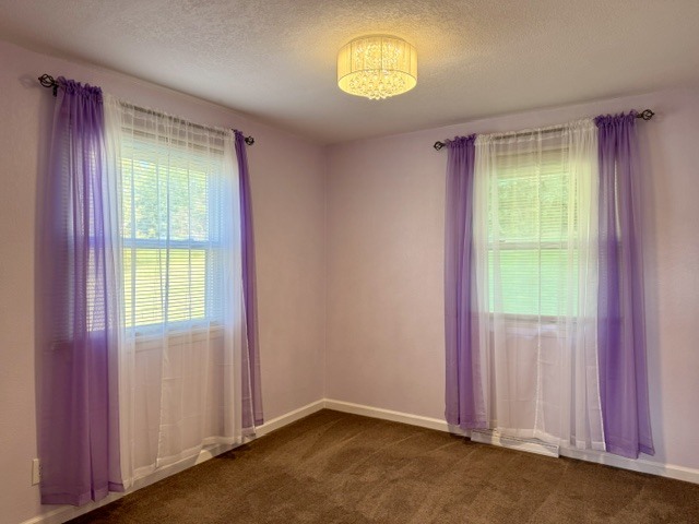 1117 Briarcliff Lane Property Photo 9