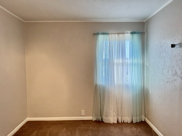 1117 Briarcliff Lane Property Photo 12