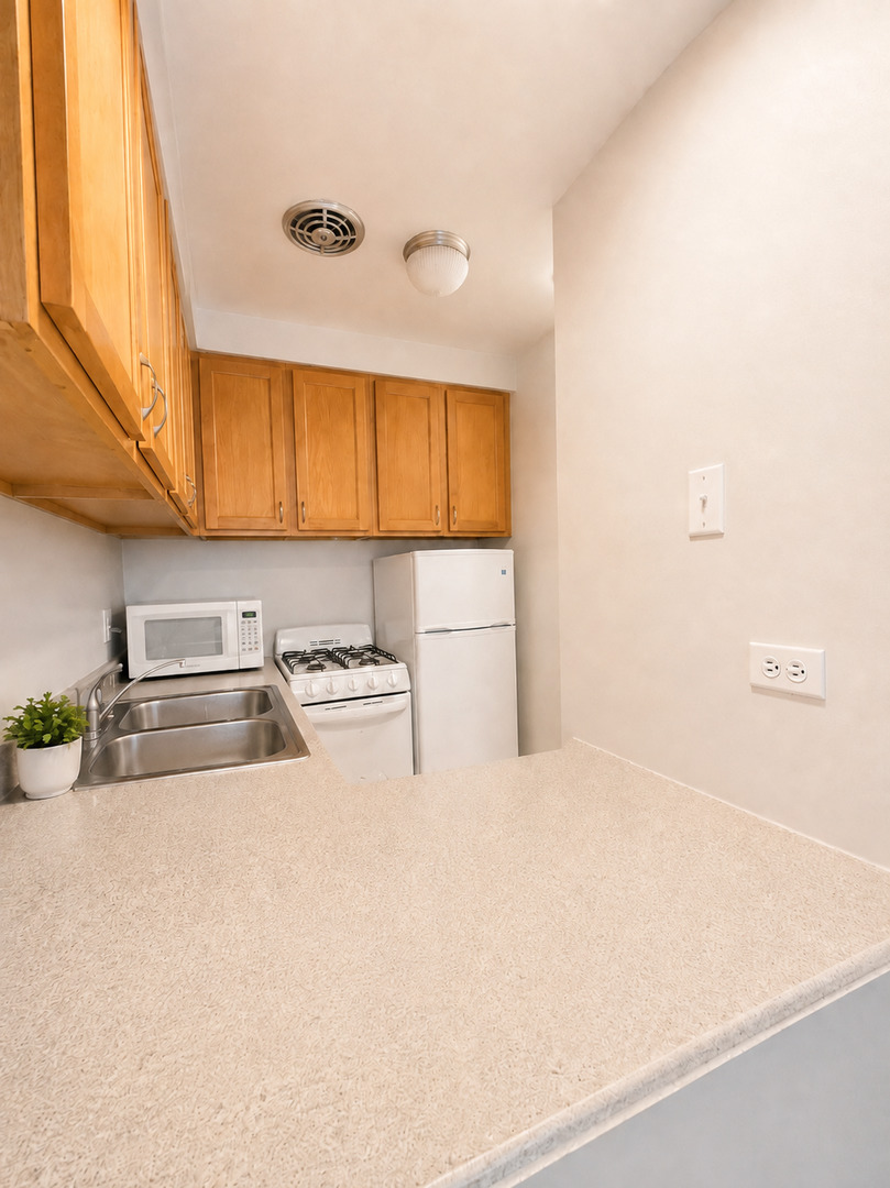 510 W Fullerton Parkway 302 Property Photo 6