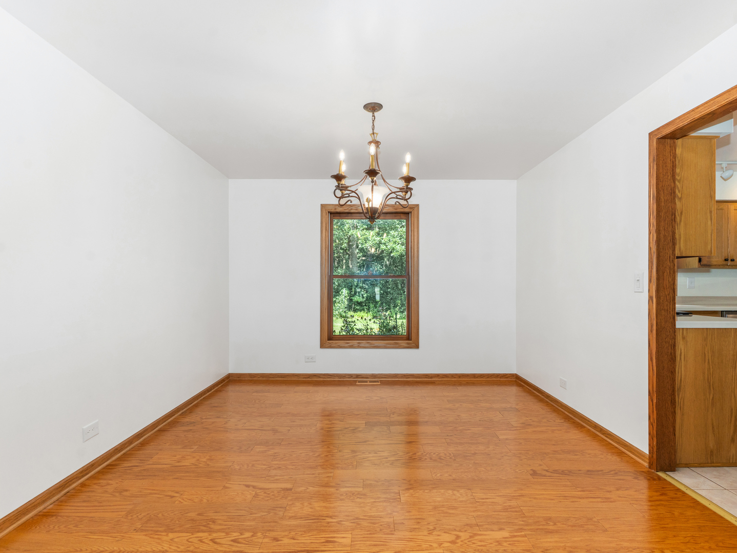 20 Arthur Court Property Photo 12