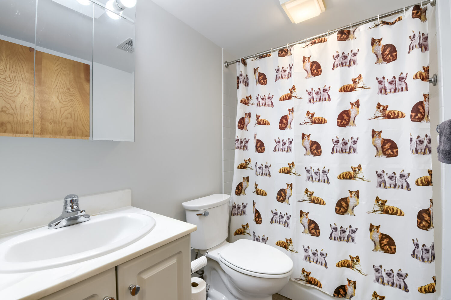 5472 S Dorchester Avenue Property Photo 17