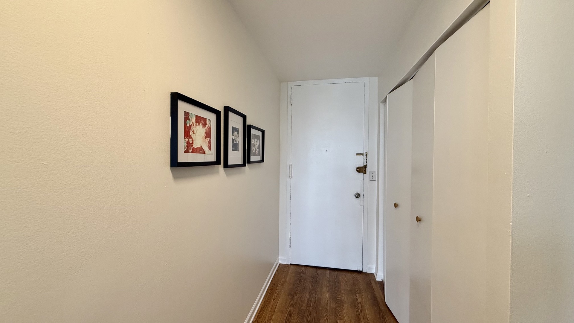 3001 S Michigan Avenue 1303 Property Photo 17