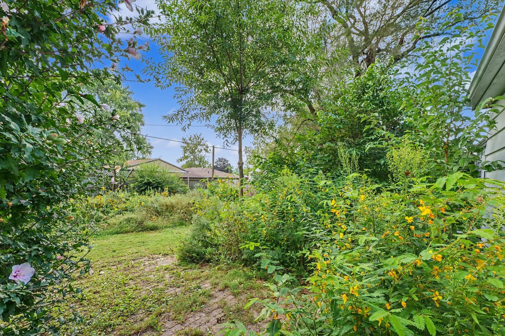 815 Balboa Road Property Photo 24