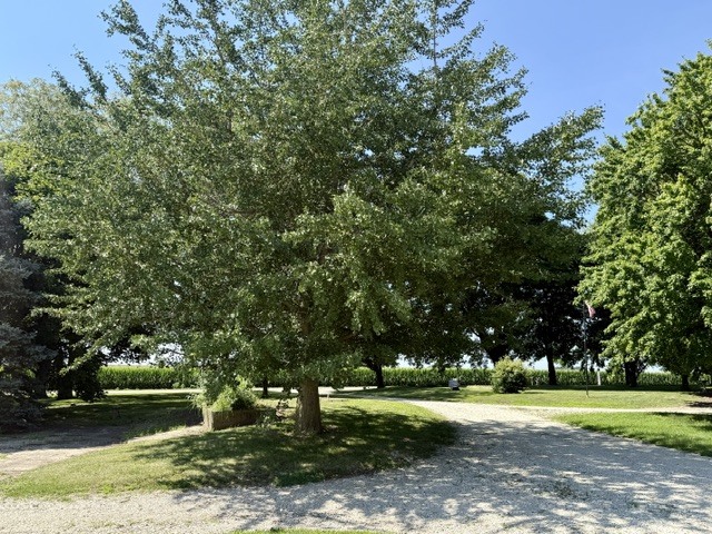 15555 Mcgirr Road Property Photo 28