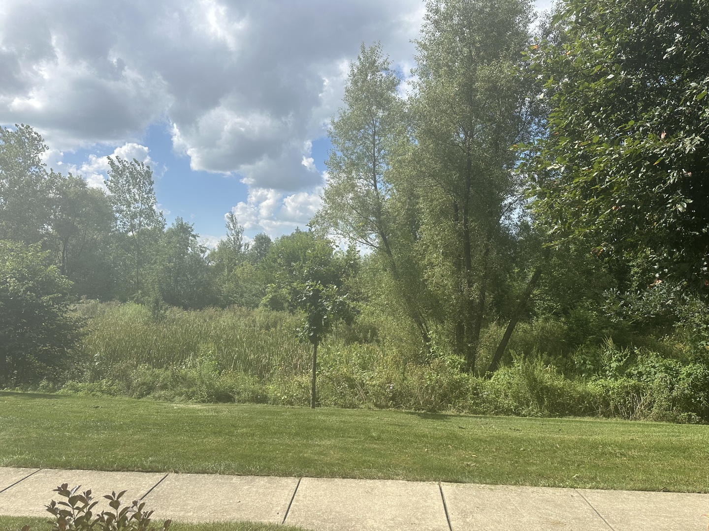 2482 Anna Way Property Photo 29