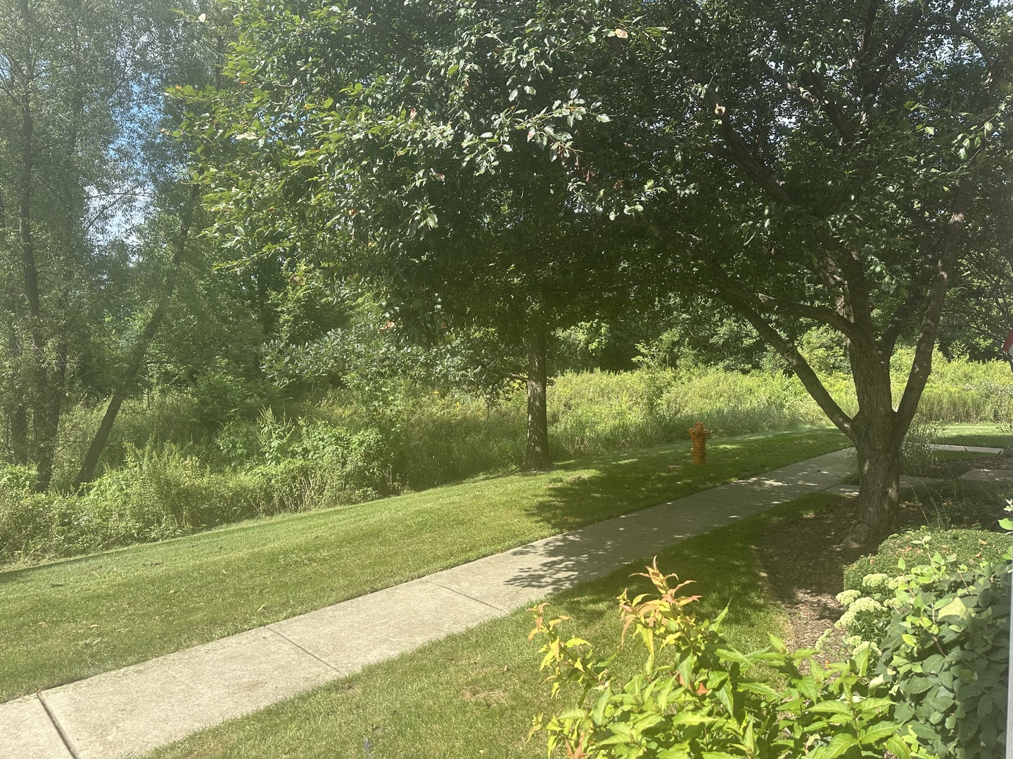 2482 Anna Way Property Photo 32