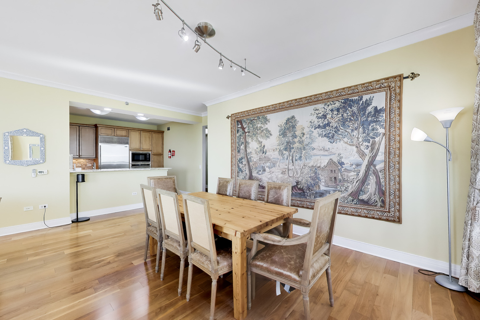 600 N Lake Shore Drive 3011 Property Photo 13