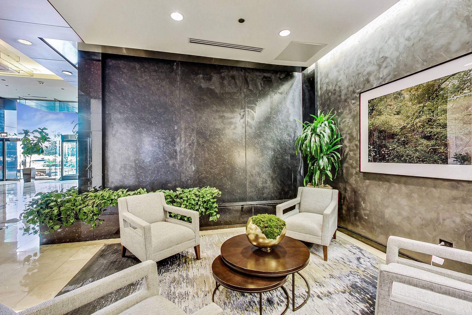 600 N Lake Shore Drive 3011 Property Photo 43