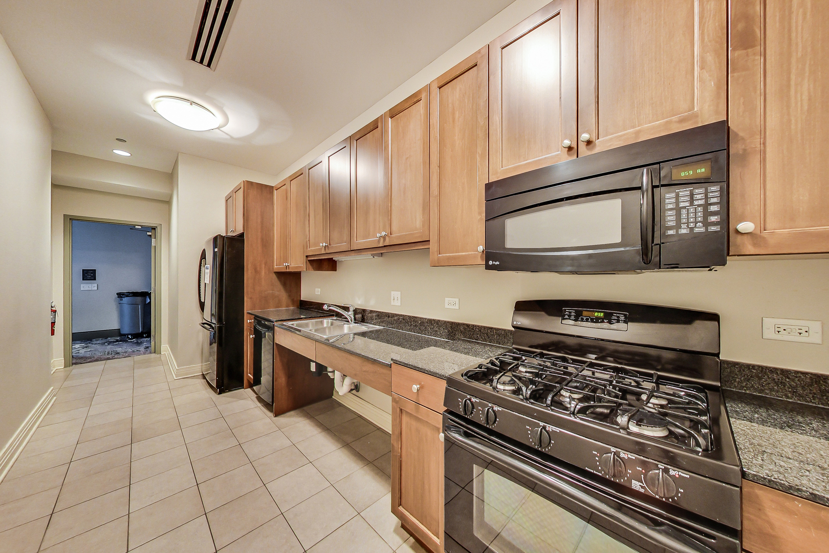 600 N Lake Shore Drive 3011 Property Photo 58