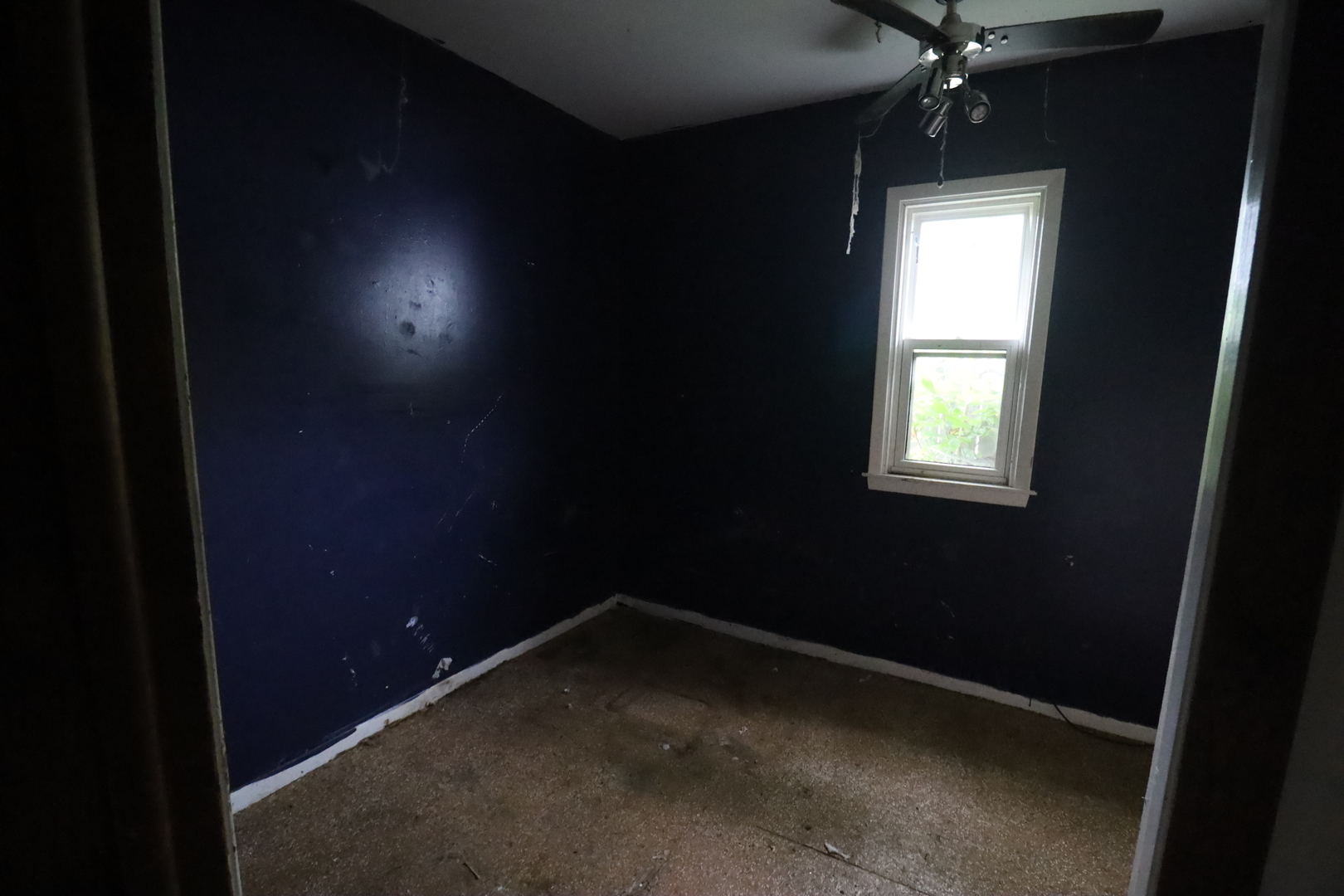 234 N 3rd Avenue Property Photo 7