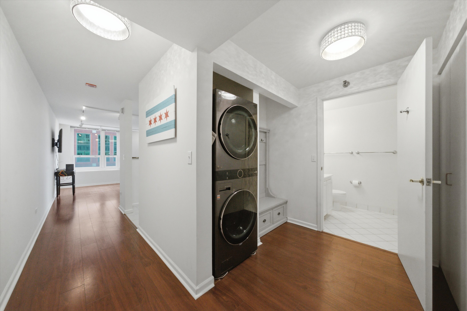 345 N Lasalle Street 1109 Property Photo 9