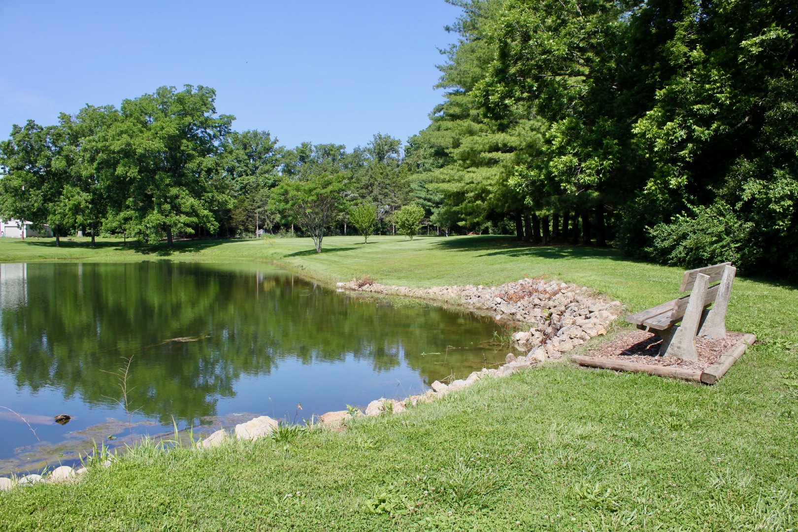 1335 Schwartz Road Property Photo 4