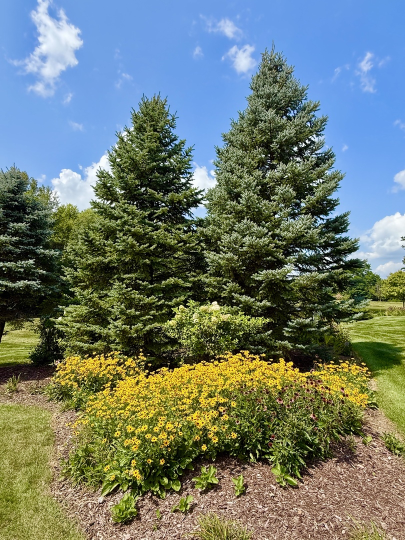 19132 Boulder Ridge Court Property Photo 48