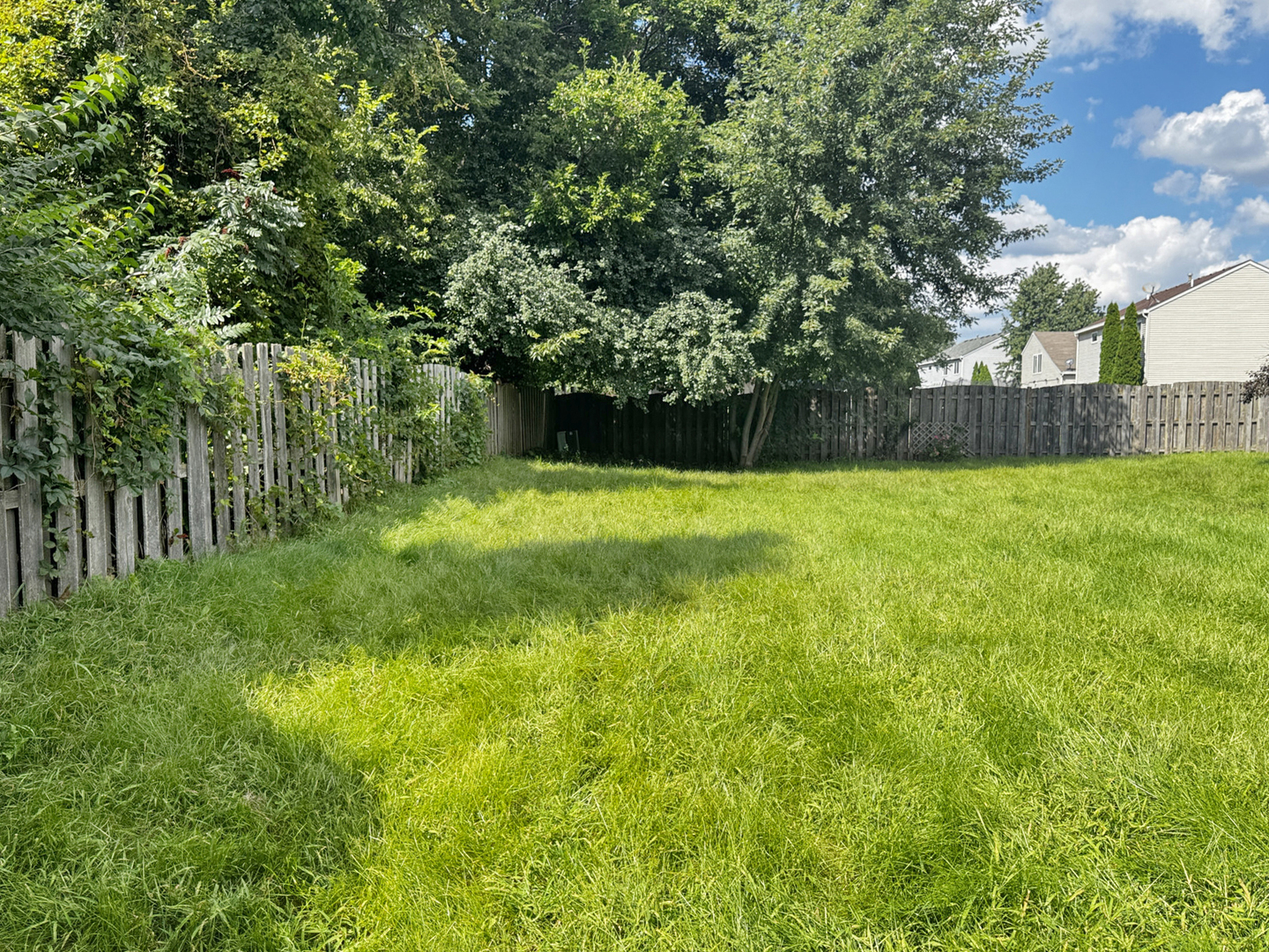 223 Paradise Parkway Property Photo 5