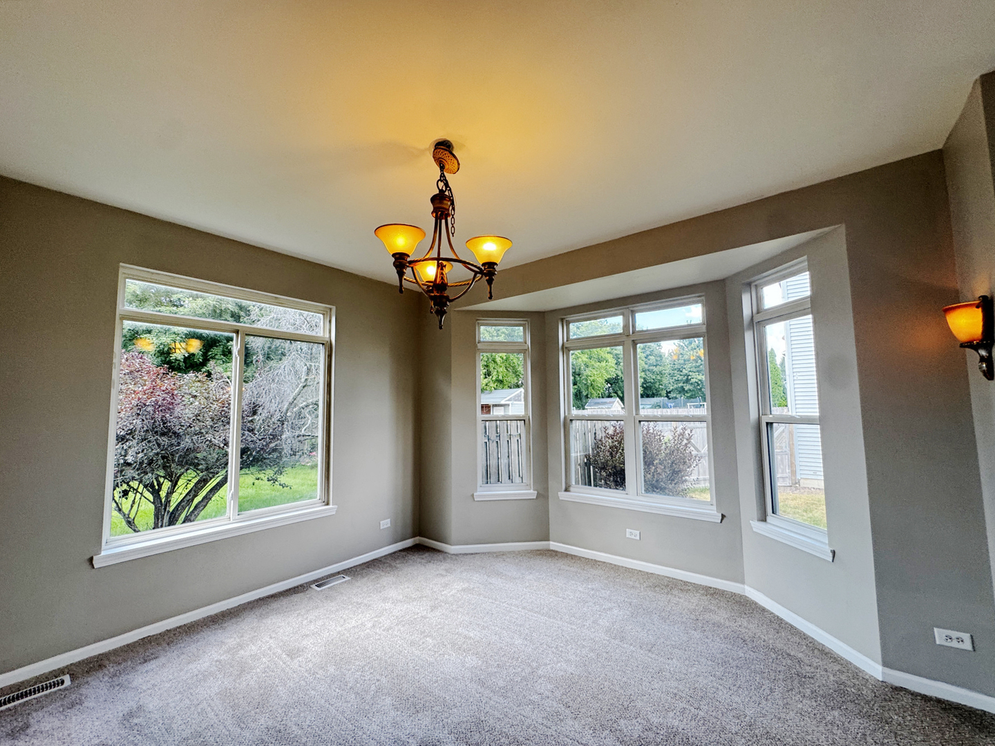223 Paradise Parkway Property Photo 11