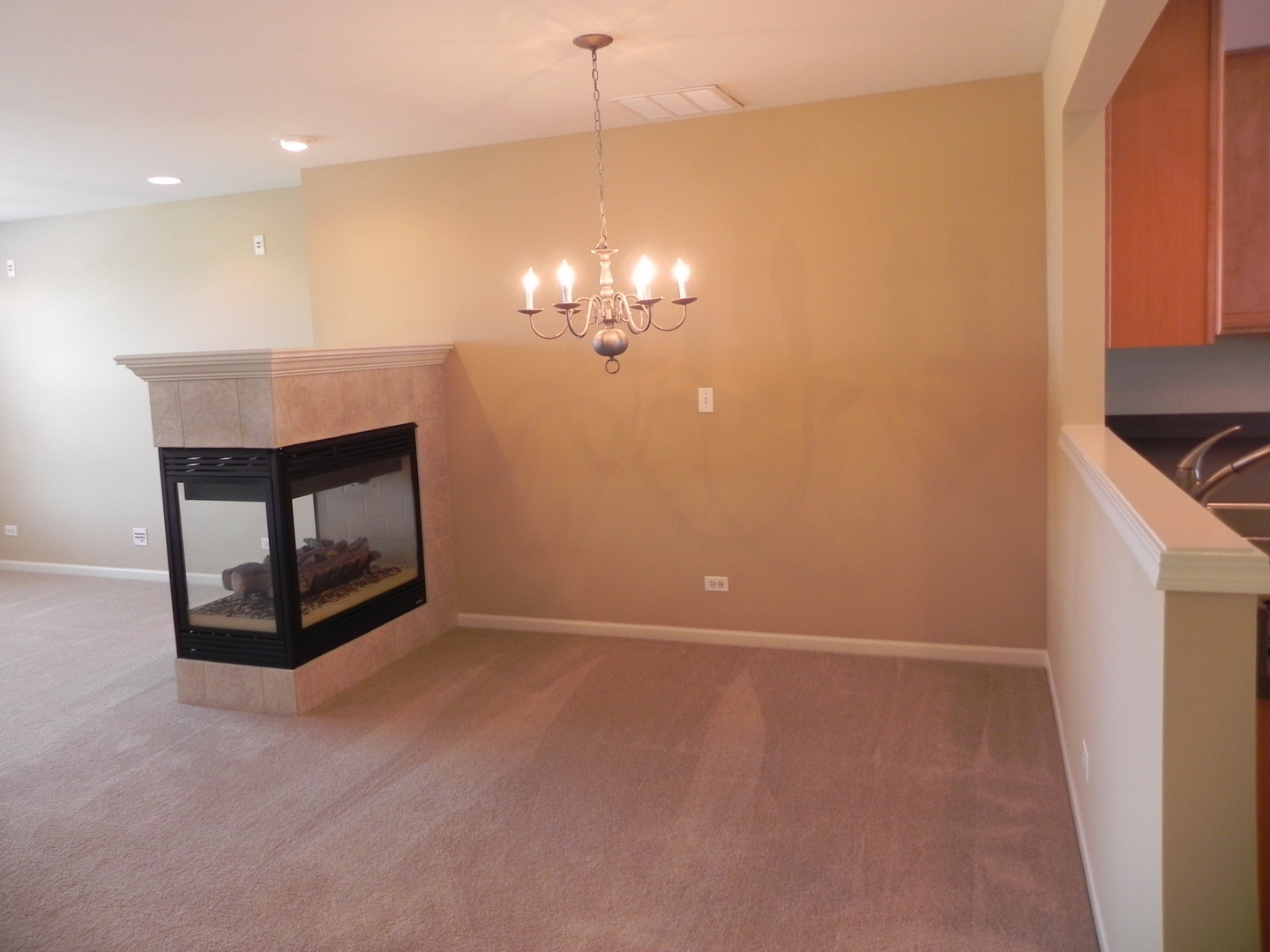 1137 Reserve Drive Property Photo 3