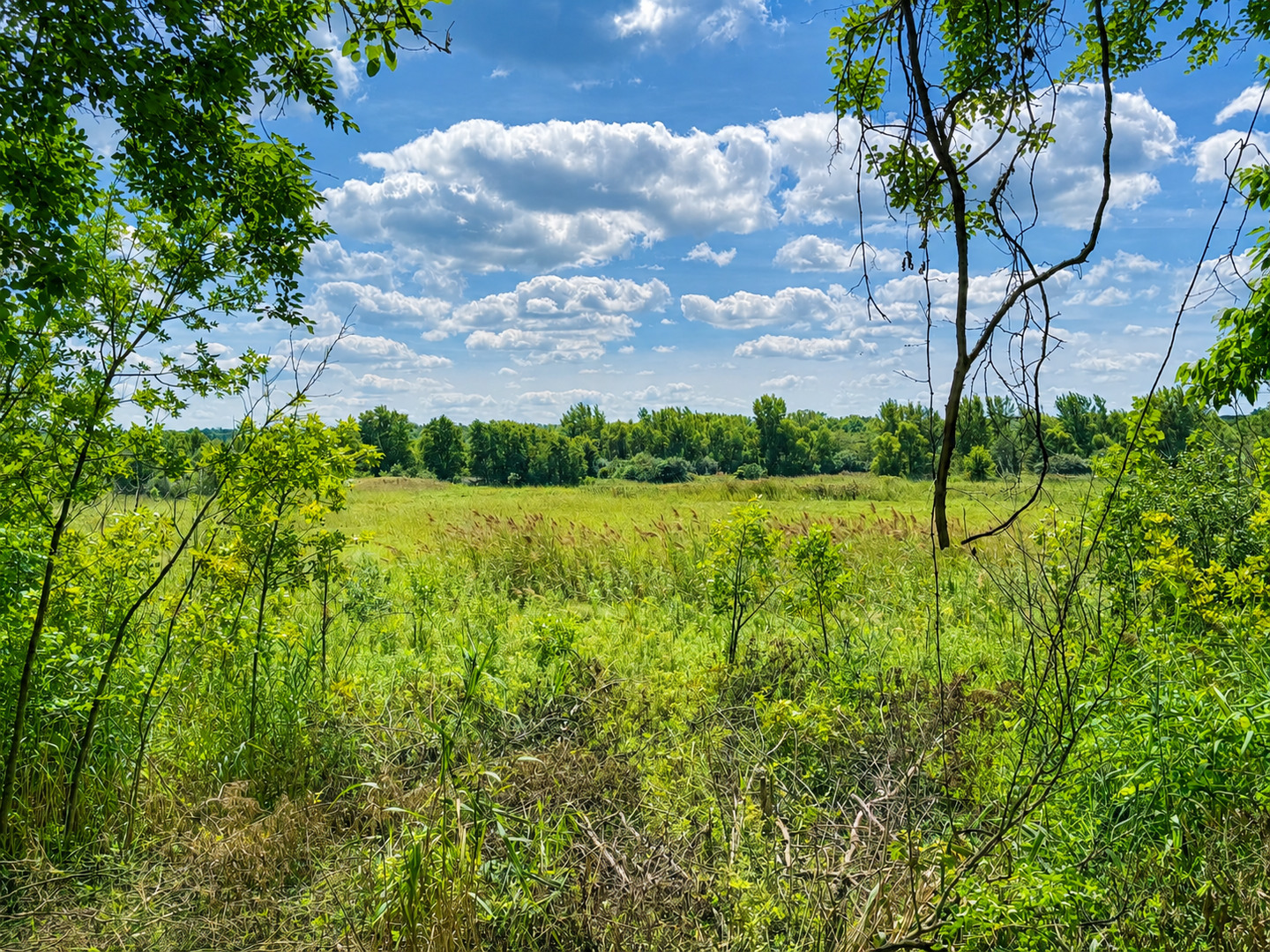1846 N 2753rd Road Property Photo 14