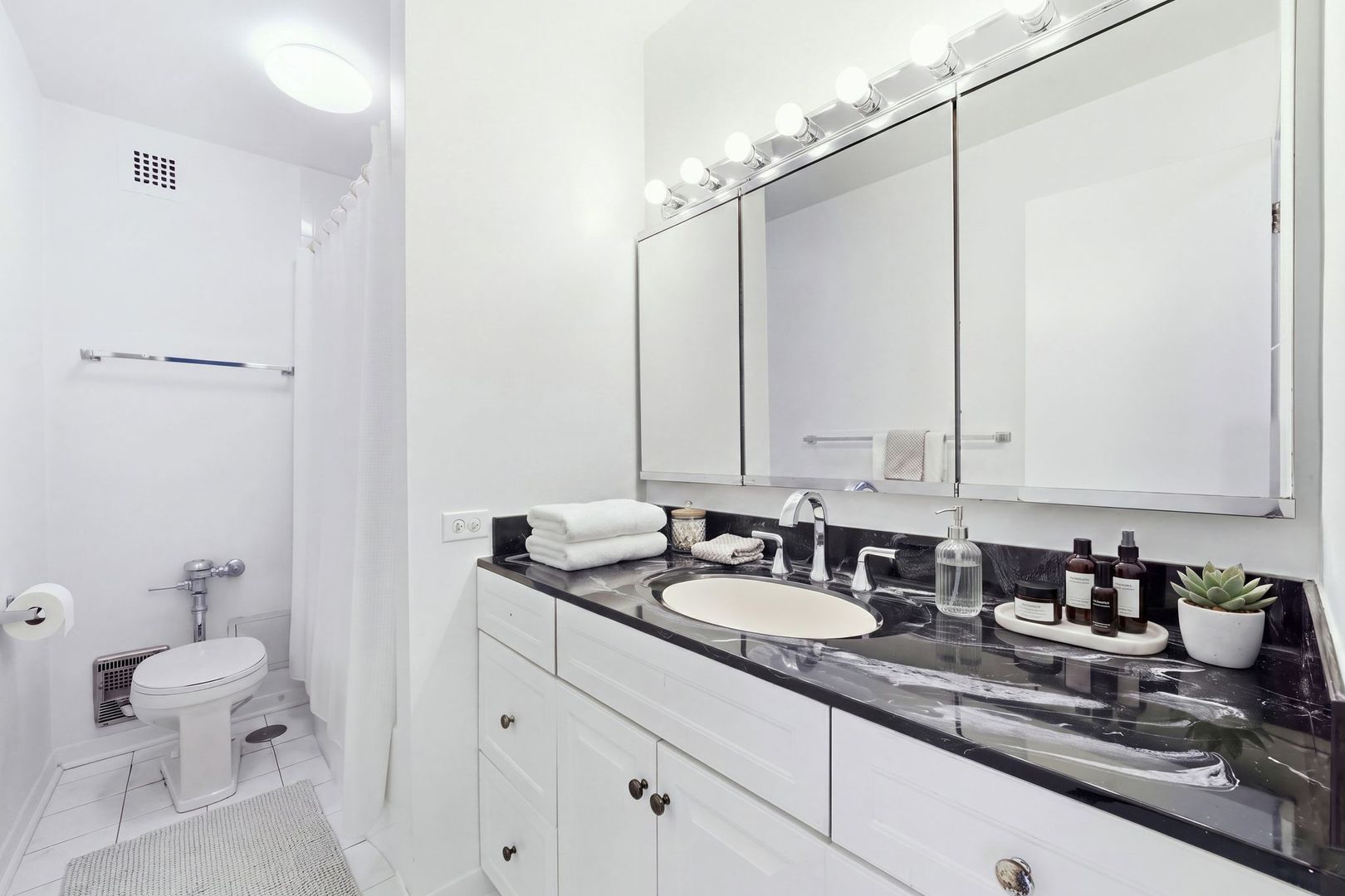 535 N Michigan Avenue 2305 Property Photo 13